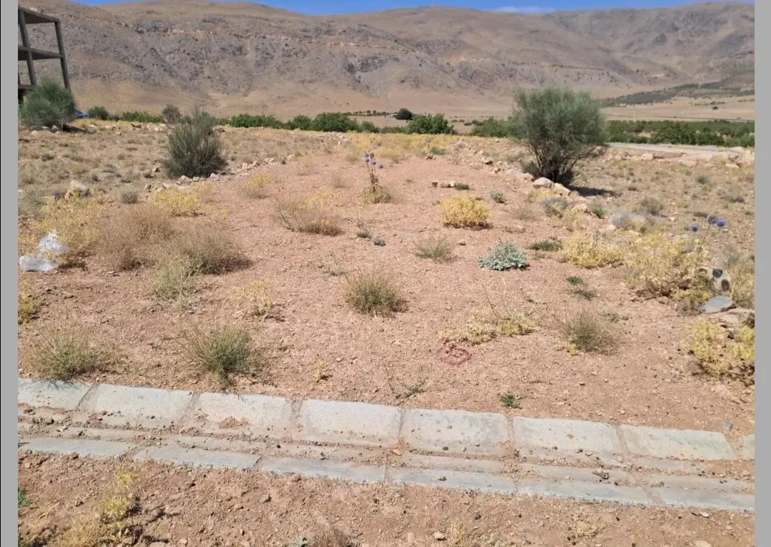 زمین مسکونی محله دانش شهر مجلسی