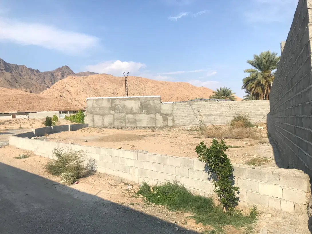 زمین حاجی آباد ( علی آباد )