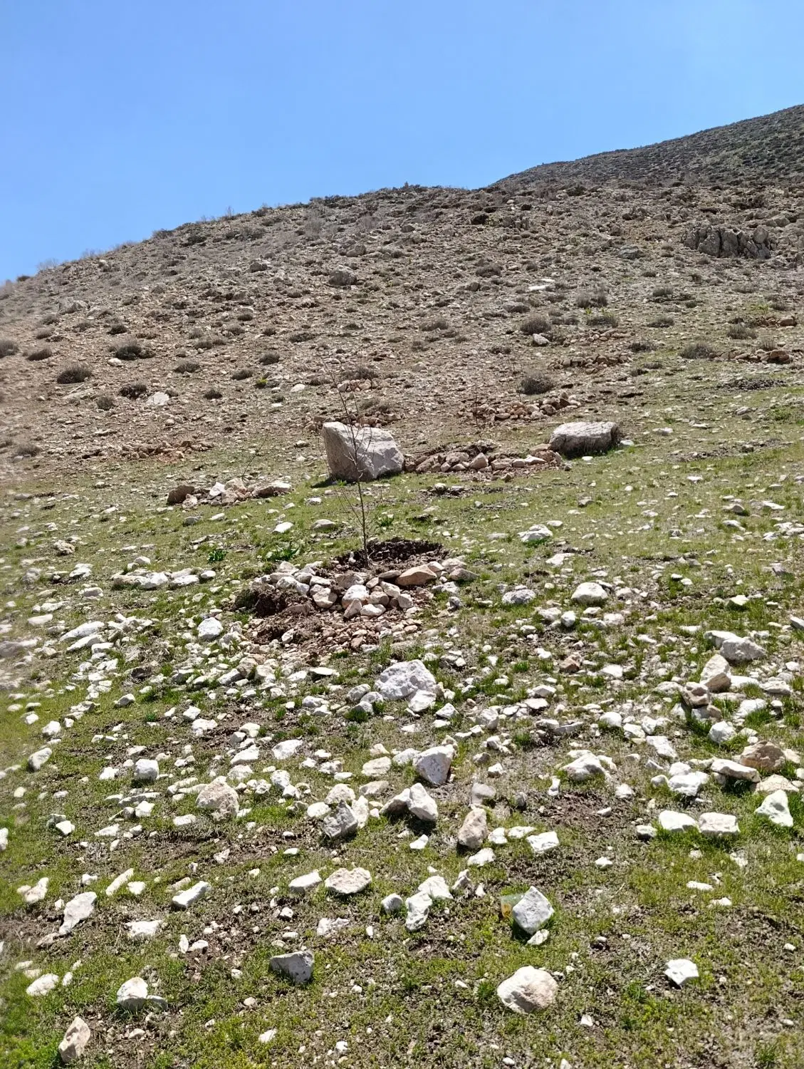 زمین زیر بیست متری بشار عکس  زمین نیست