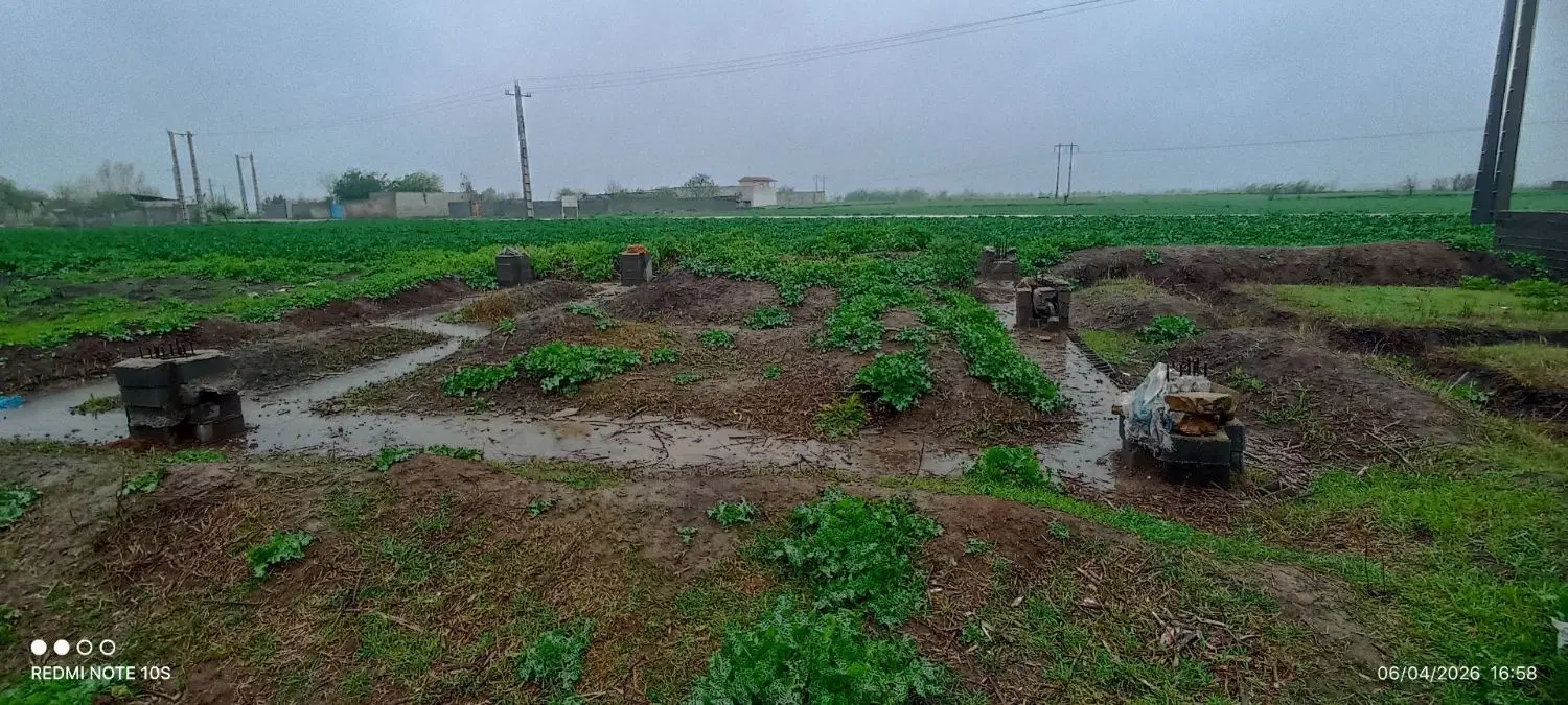 زمین مسکونی