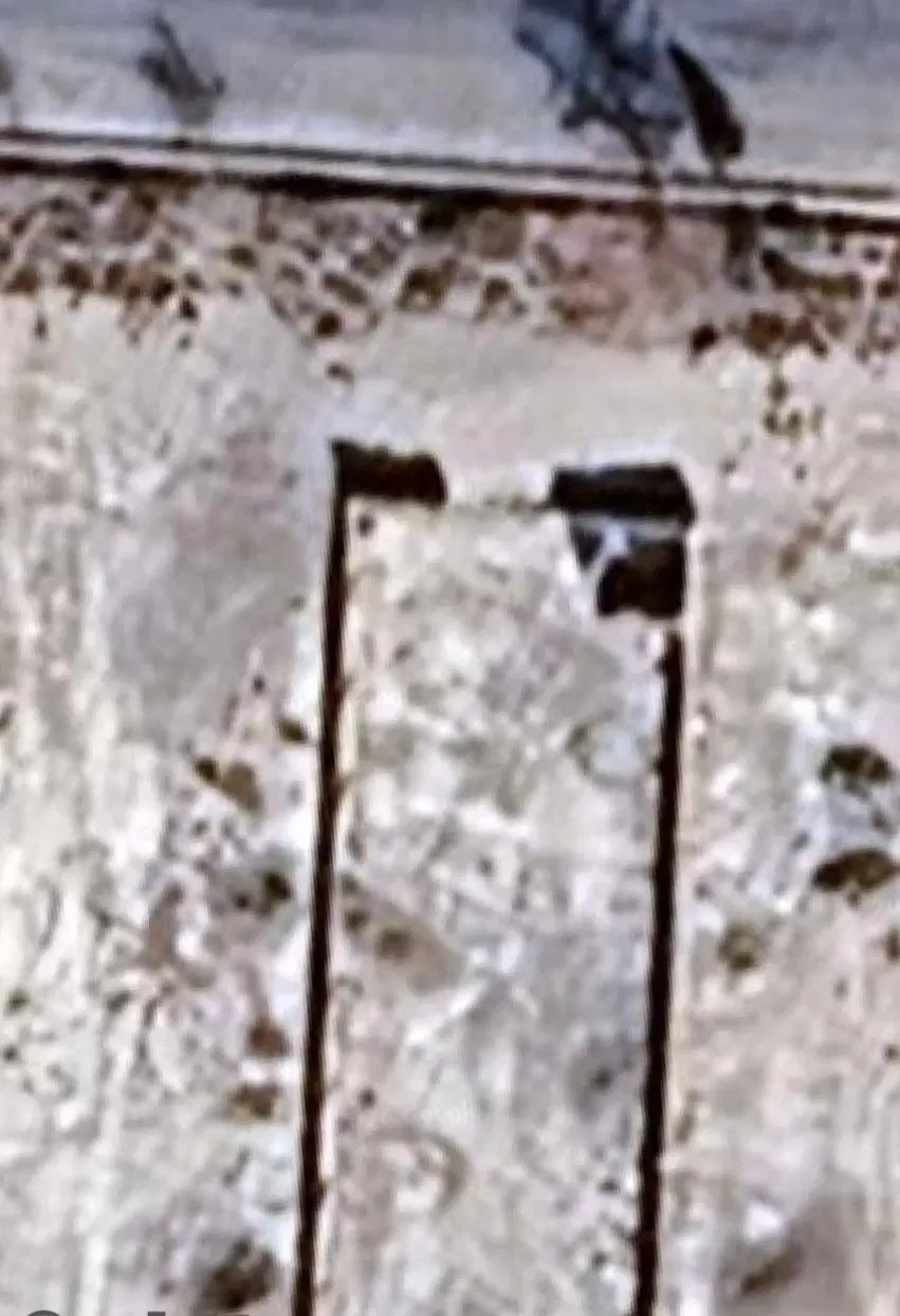 زمین
