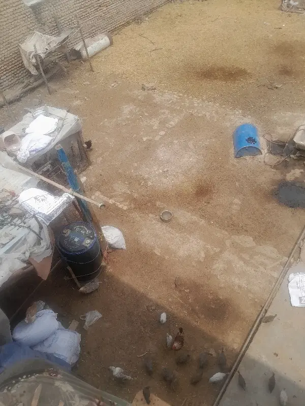 ۲۰۰متر زمین