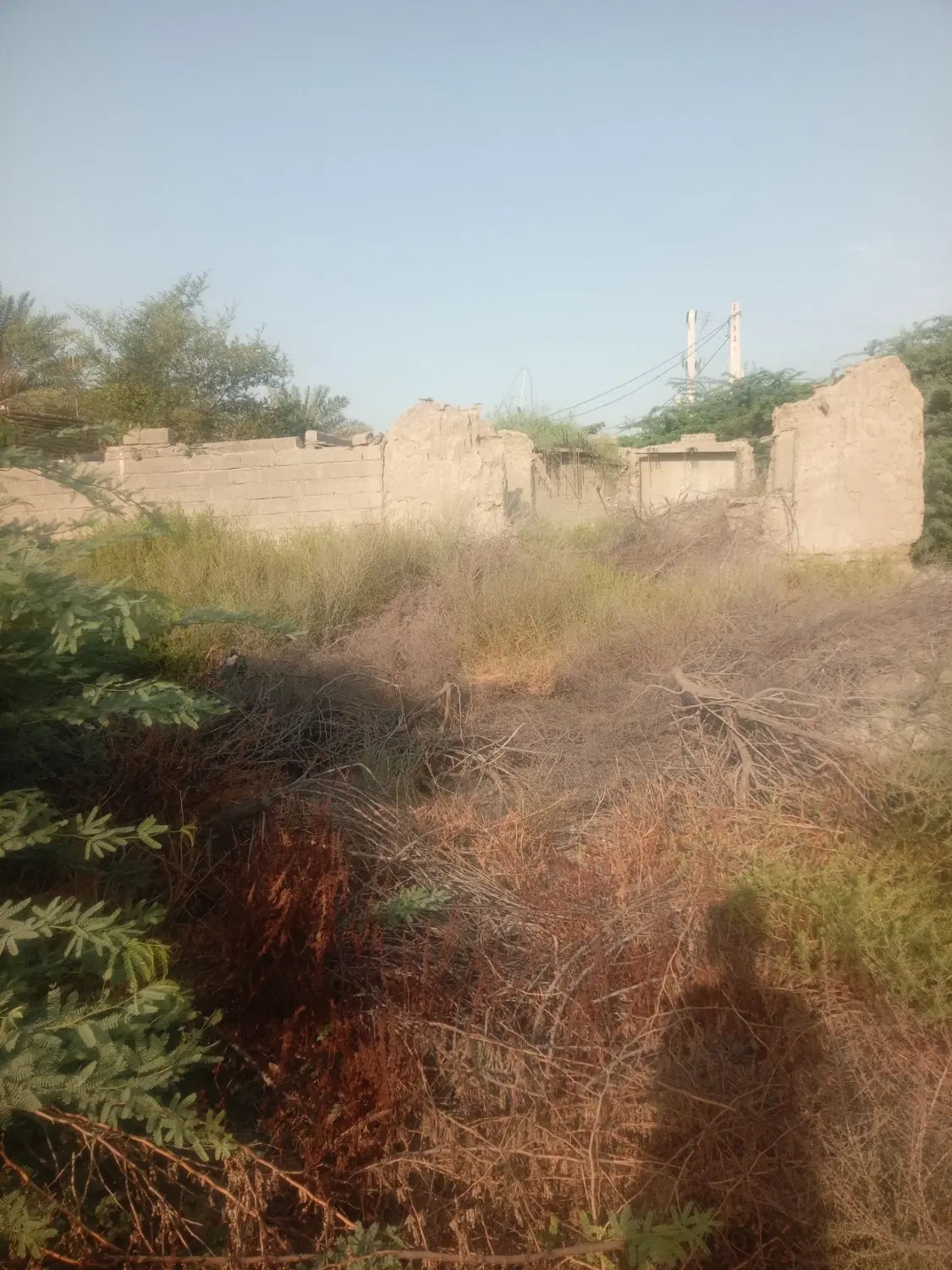 زمین حکمی