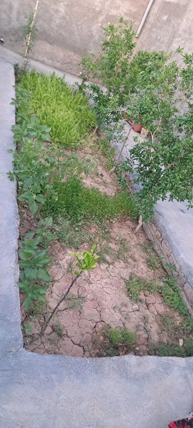 فروش ویلایی
