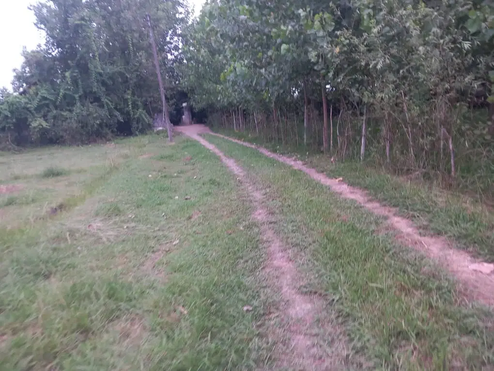 ۲۵۰متر زمین داخل طرهادی