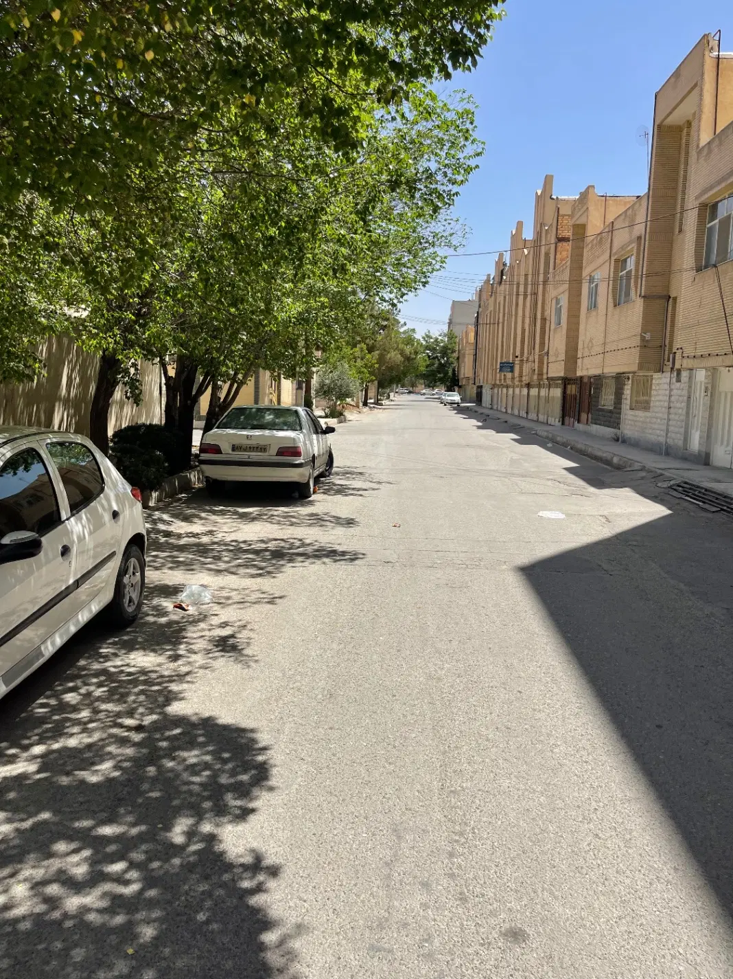 طالقانی (علامه)۲۵۰ متری شمالی
