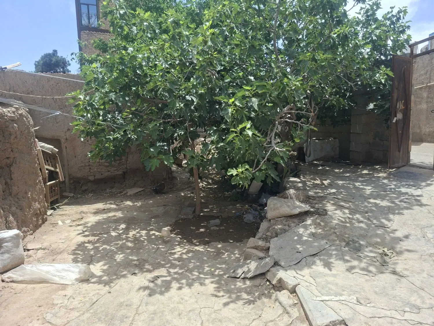 ۲۳۷مترملک کلنگی فیلستان