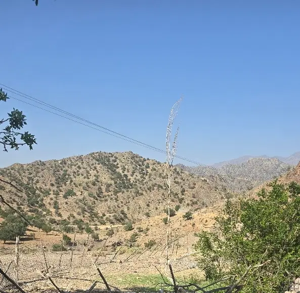 فروش ۱۰ قصب زمین محمدآباد بالا ۱۱۵
