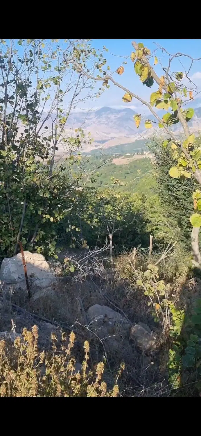 فروش زمین ۲۷۱ متری ،روستای کلاک