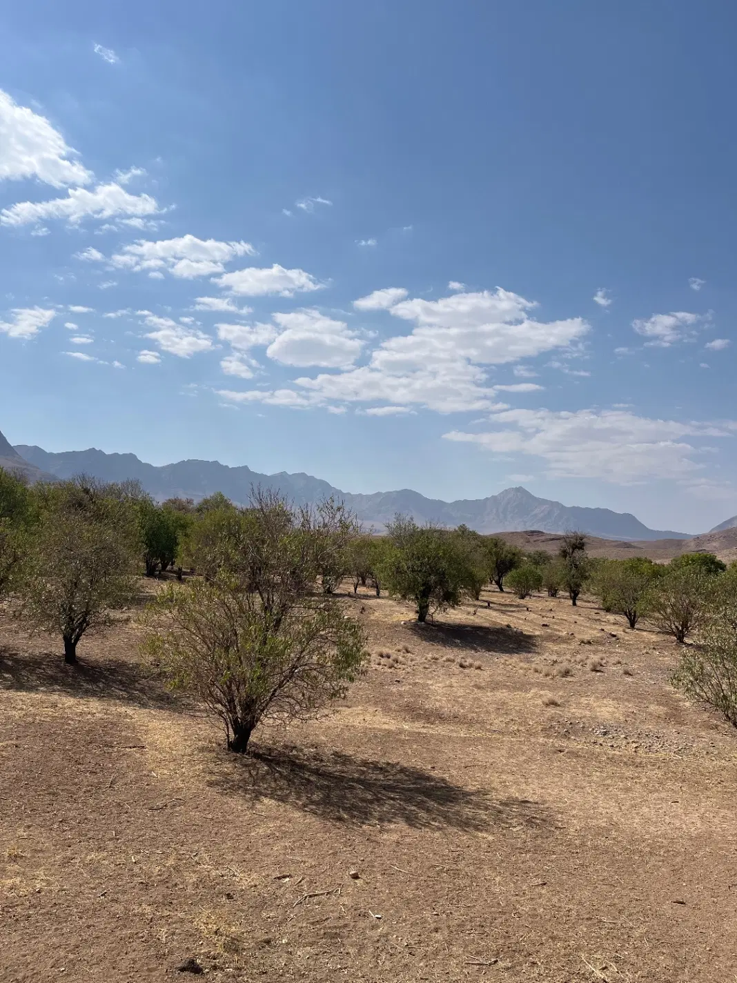 زمین فروشی باوارفرودگاه اسکان