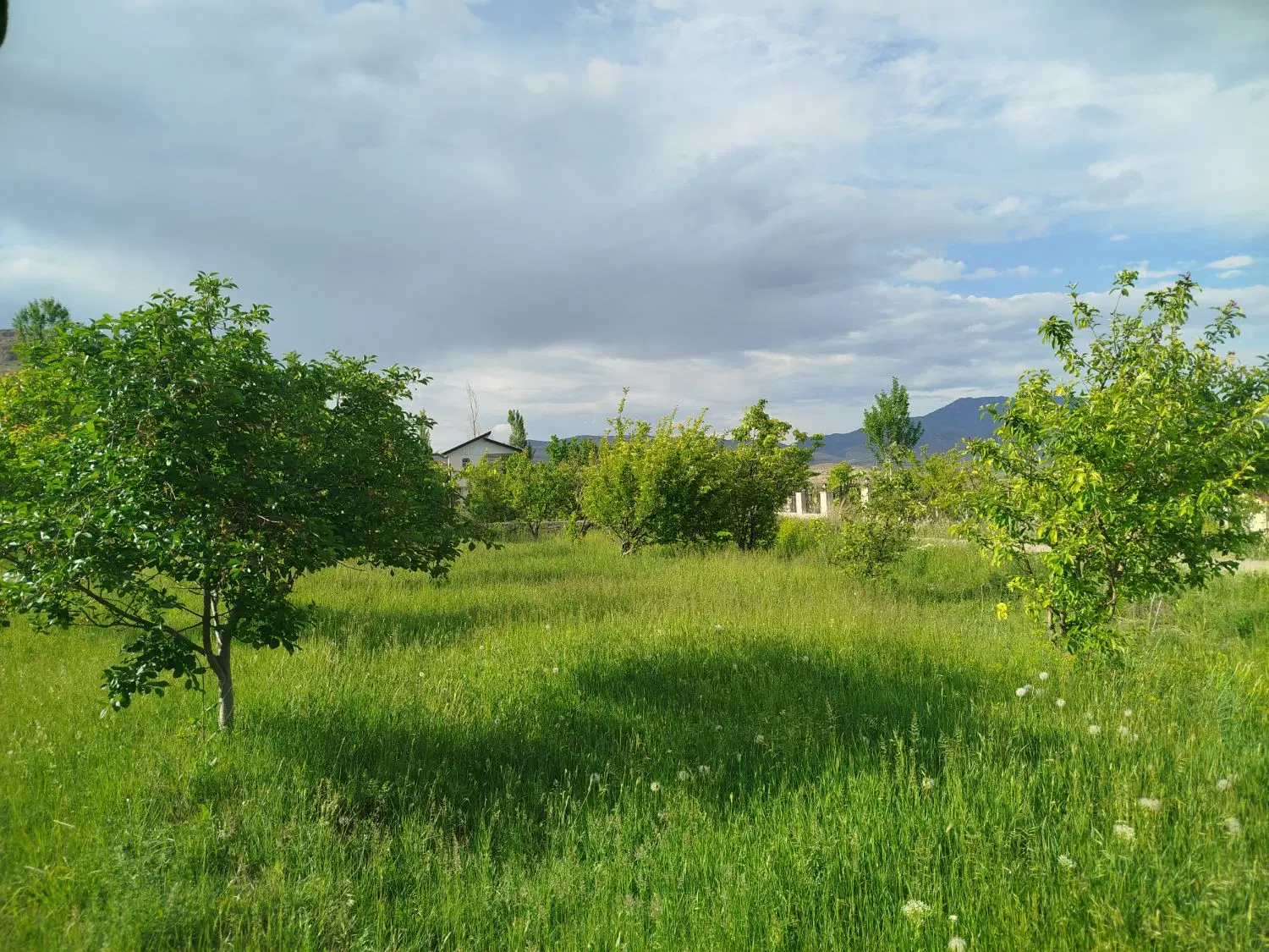 باغ روستای رند بر کمربندی اصلی