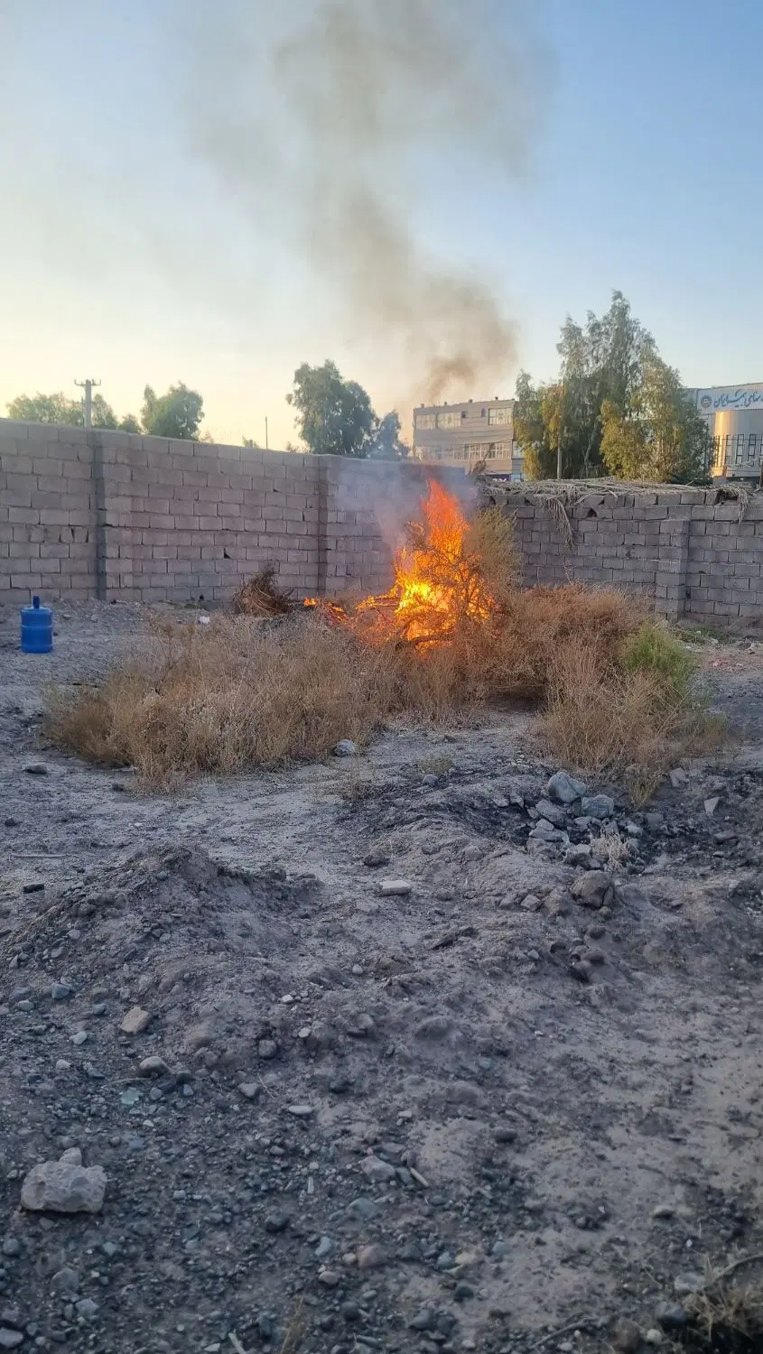 زمین مسکونی