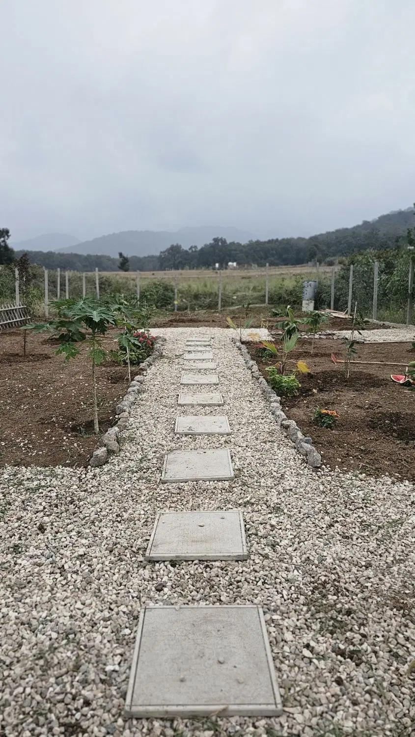 باغچه زیبای ۳۰۰ متری شموشک علیا