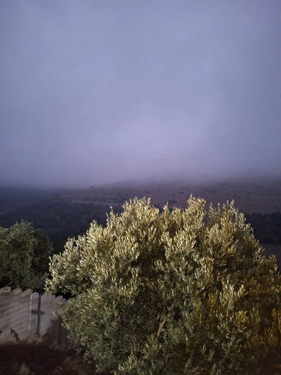 خانه ویلایی فوق‌العاده