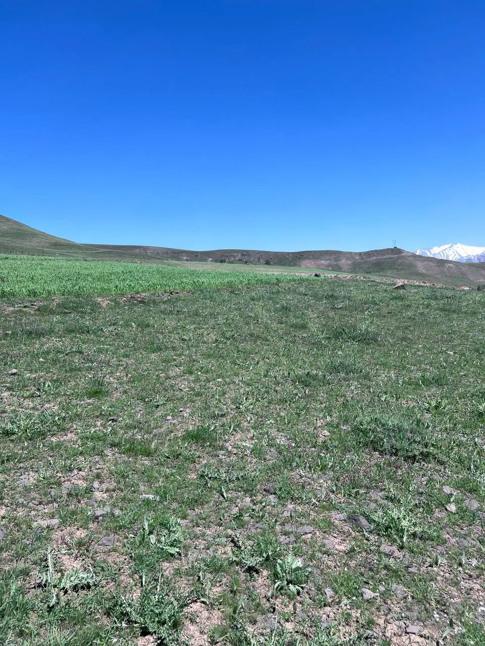 زمین واقع در روستای بزج طالقان