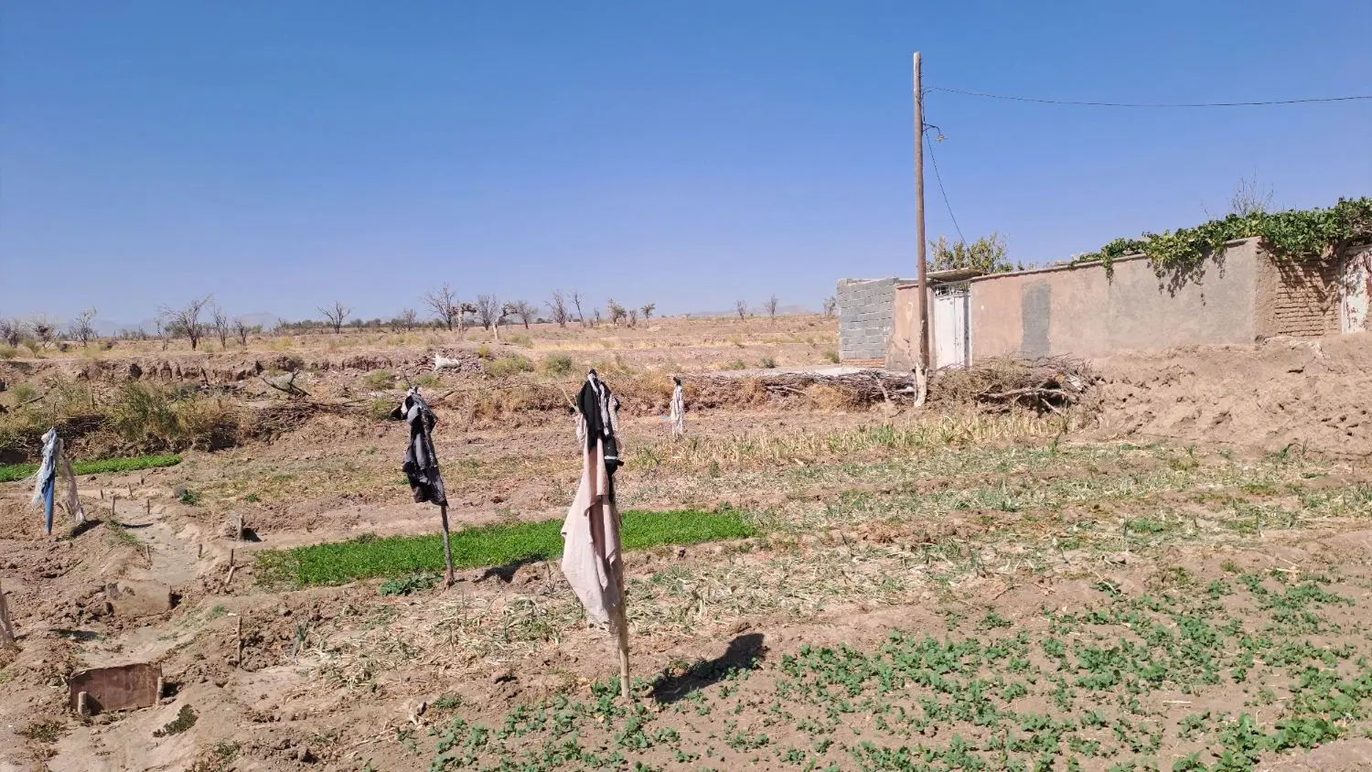 زمین فروشی در روستای بنهنگ