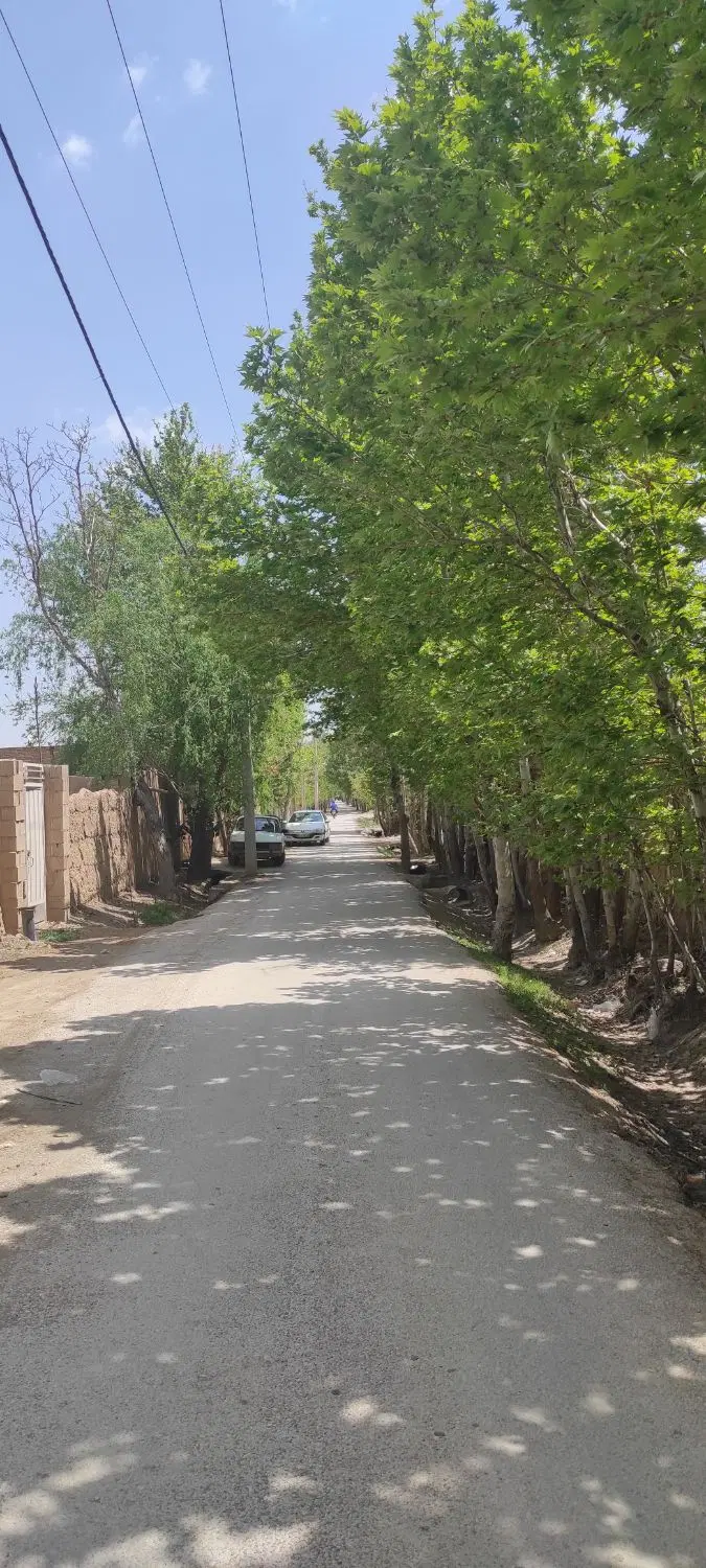 فروش زمین باغ چهاردیواری