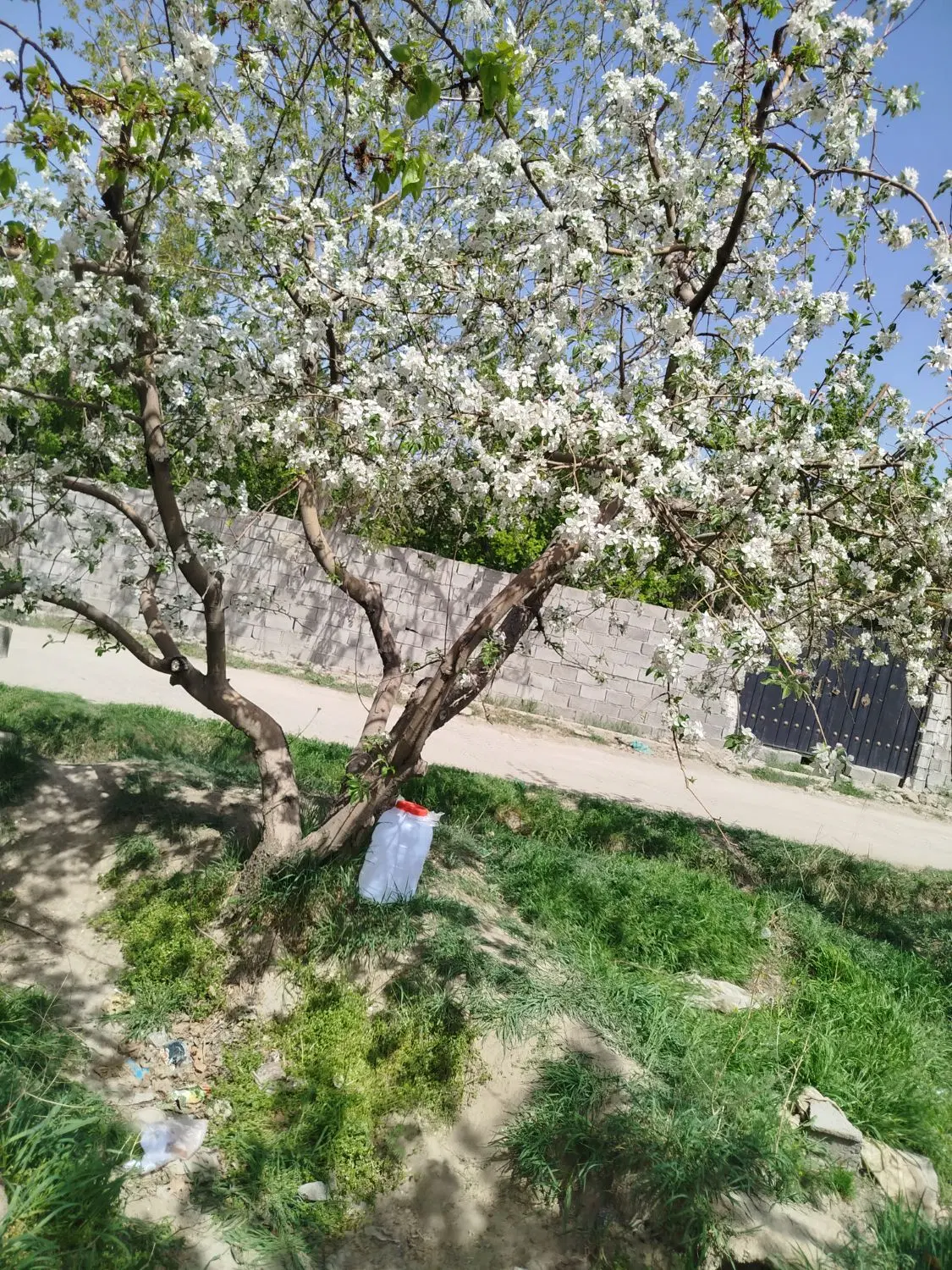 زمین ۷۰۰متر_صفادشت_ارغش آباد_قطعه یک