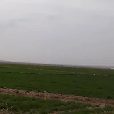 زمین کشاورزی باغی درگلپایگان