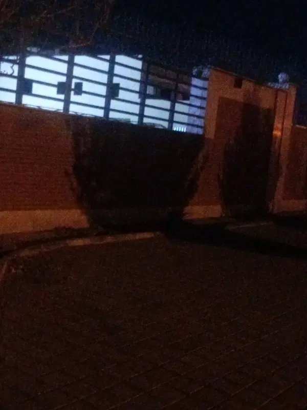 هم خونه
