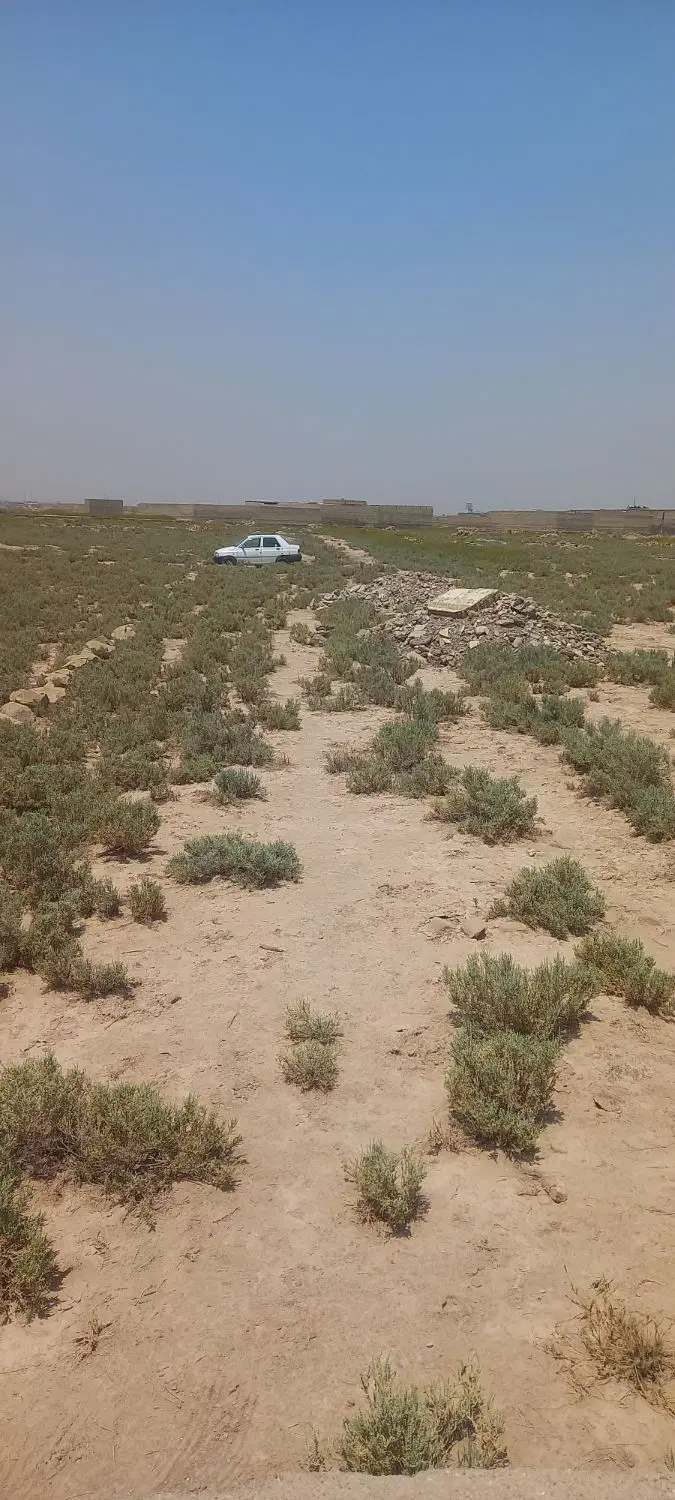 زمین مسکونی کوی سادات