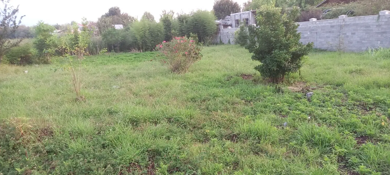 زمین کاملا مسکونی در قاضیان