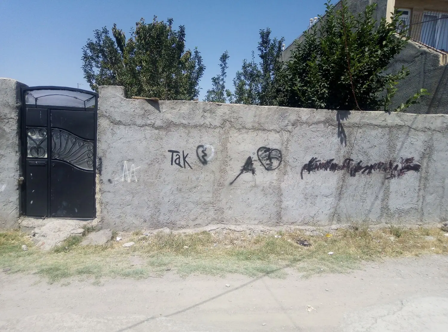 زمینی در شام اسبی