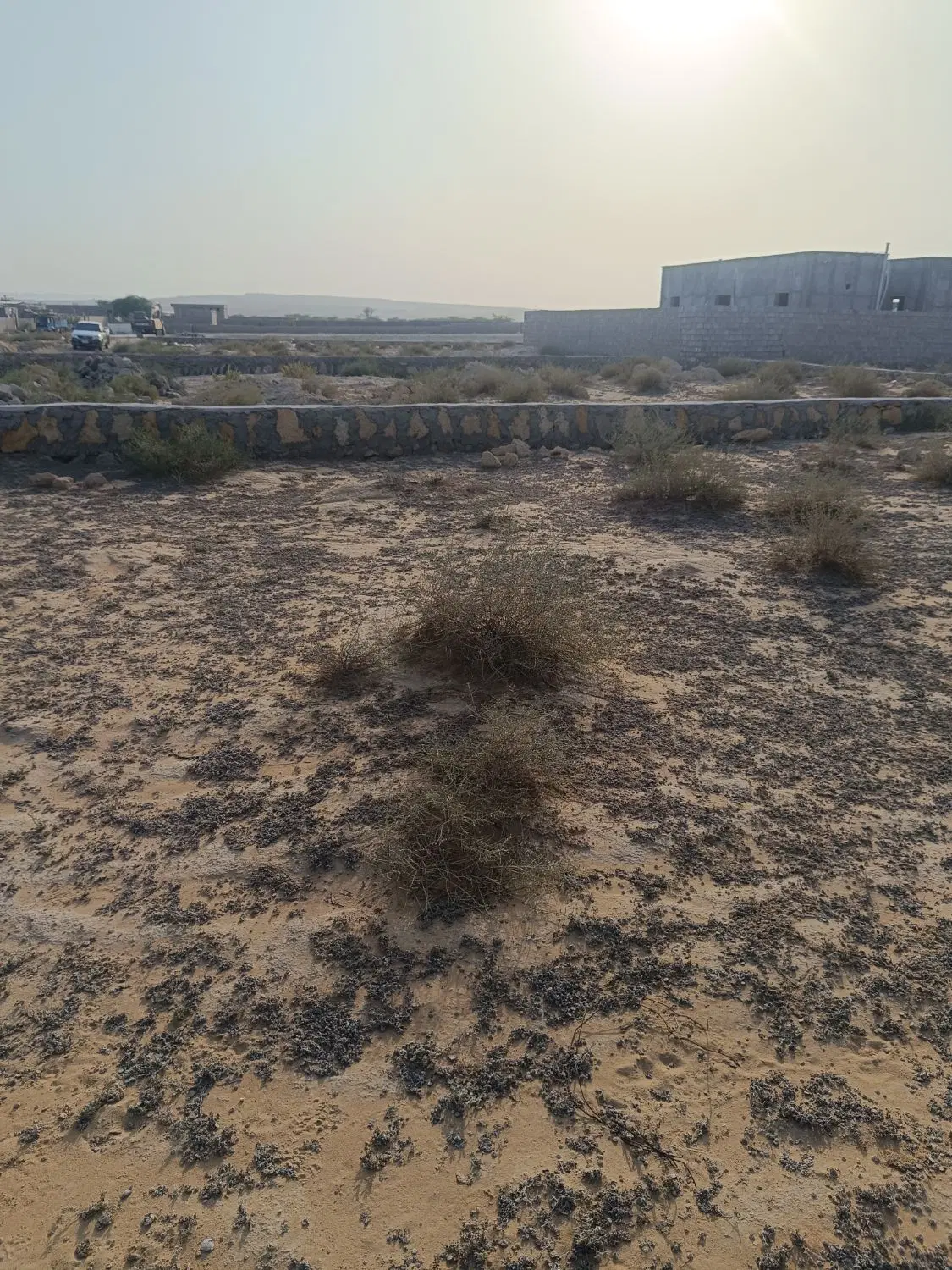 زمین مسکونی