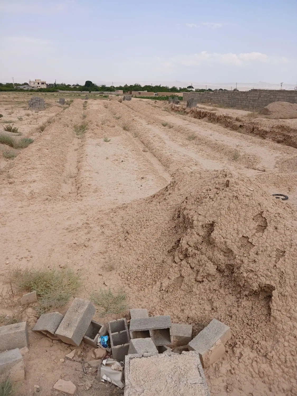 زمین مناسب برای ساخت کارگاه در مغان)کنار کاچیلا