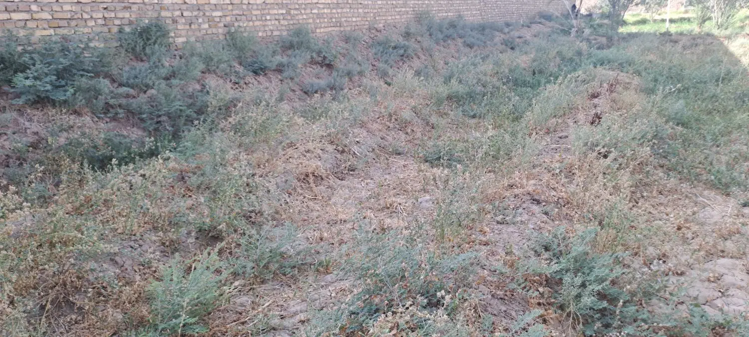 زمین کشاورزی