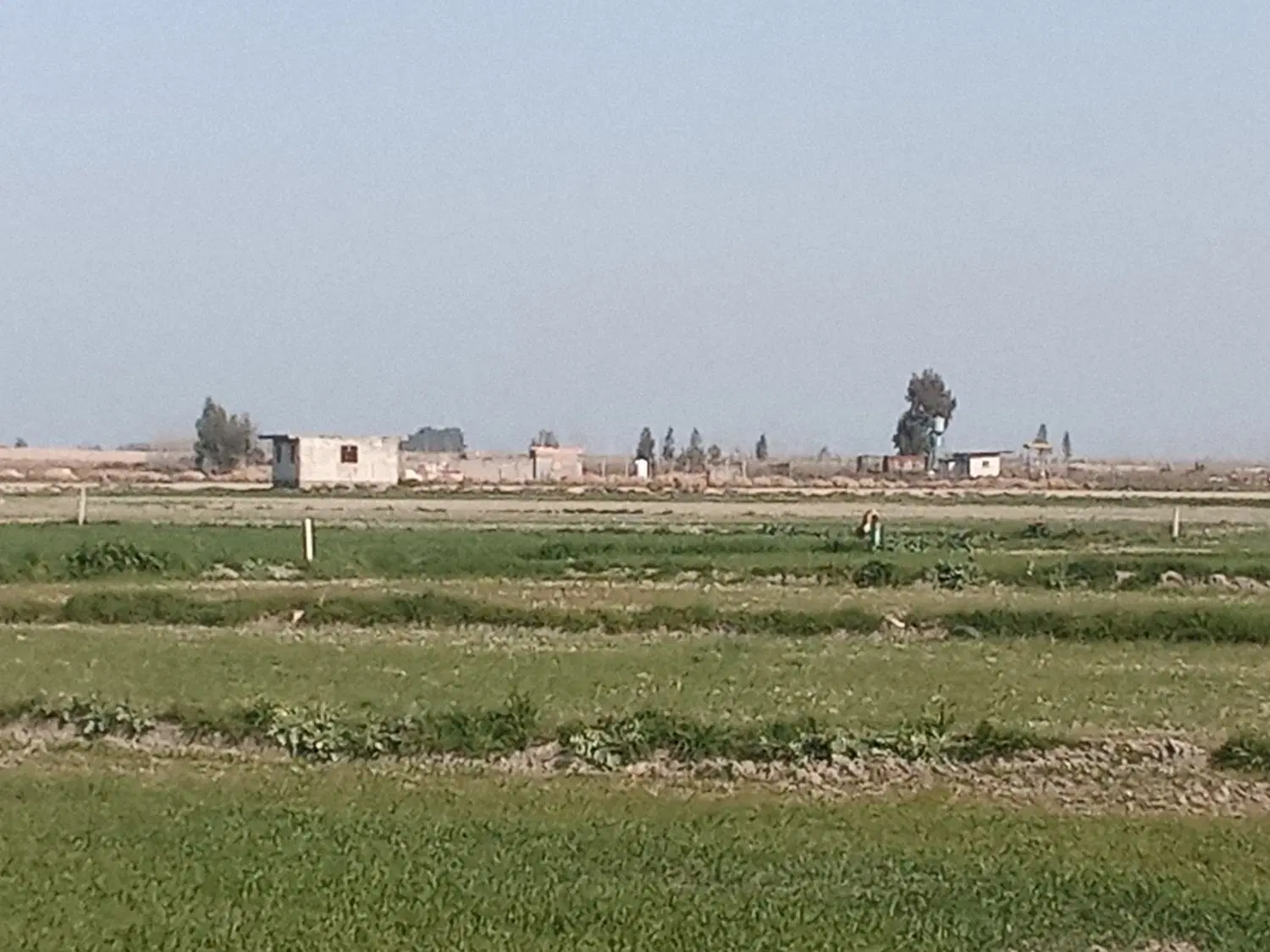 زمین باغی محمدآباد