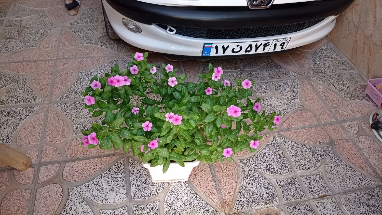 خانه ویلایی ۸۵ متری شیک