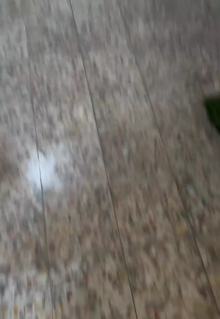 منزل اپارتمانی