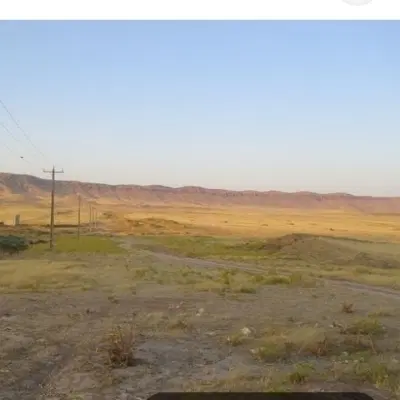 ماهدشت پیشک یک