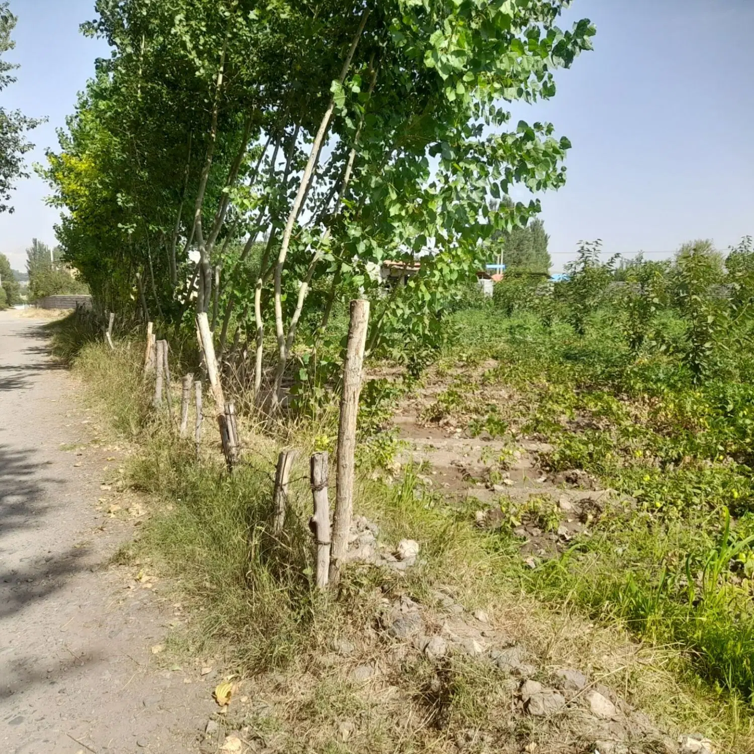 زمین فروشی روستای مزرعه خلف کنار جاده به طرف اهر