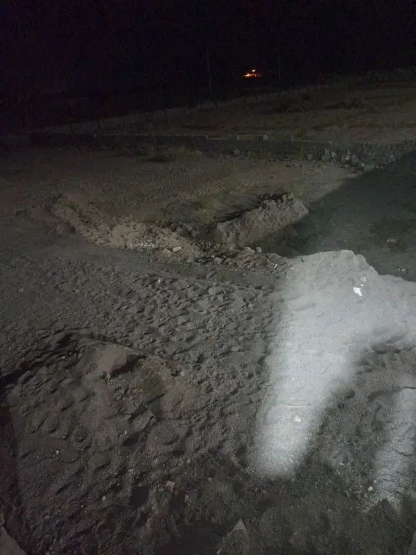 زمین باغی