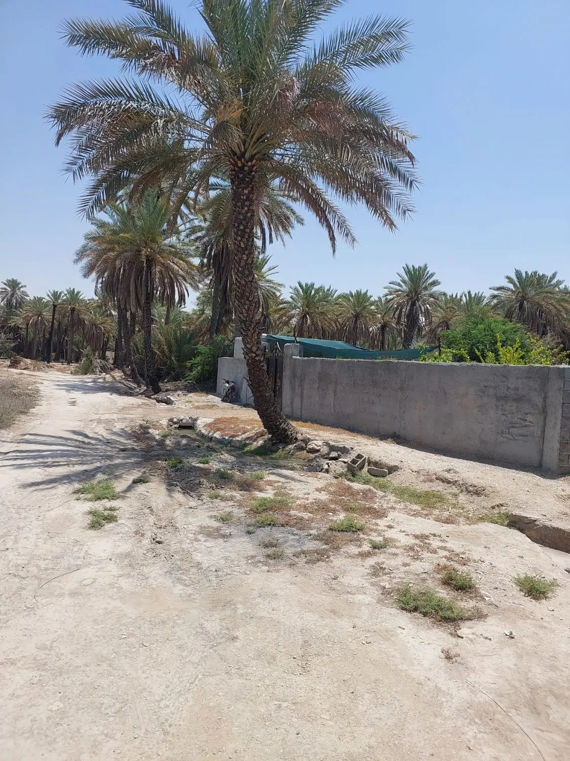زمین دیوار کشی انجام شده