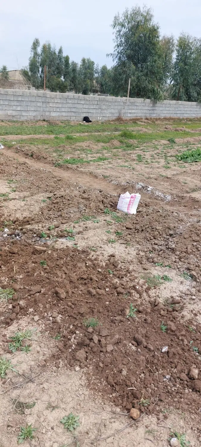 زمین مسکونی ۱۰۰ متر کوی دوار روبروی زمین شهری