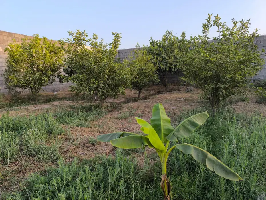 فروش باغچه شمس آباد