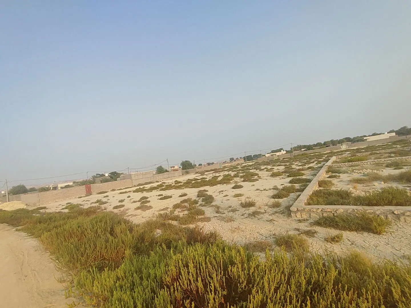 زمین مسکونی