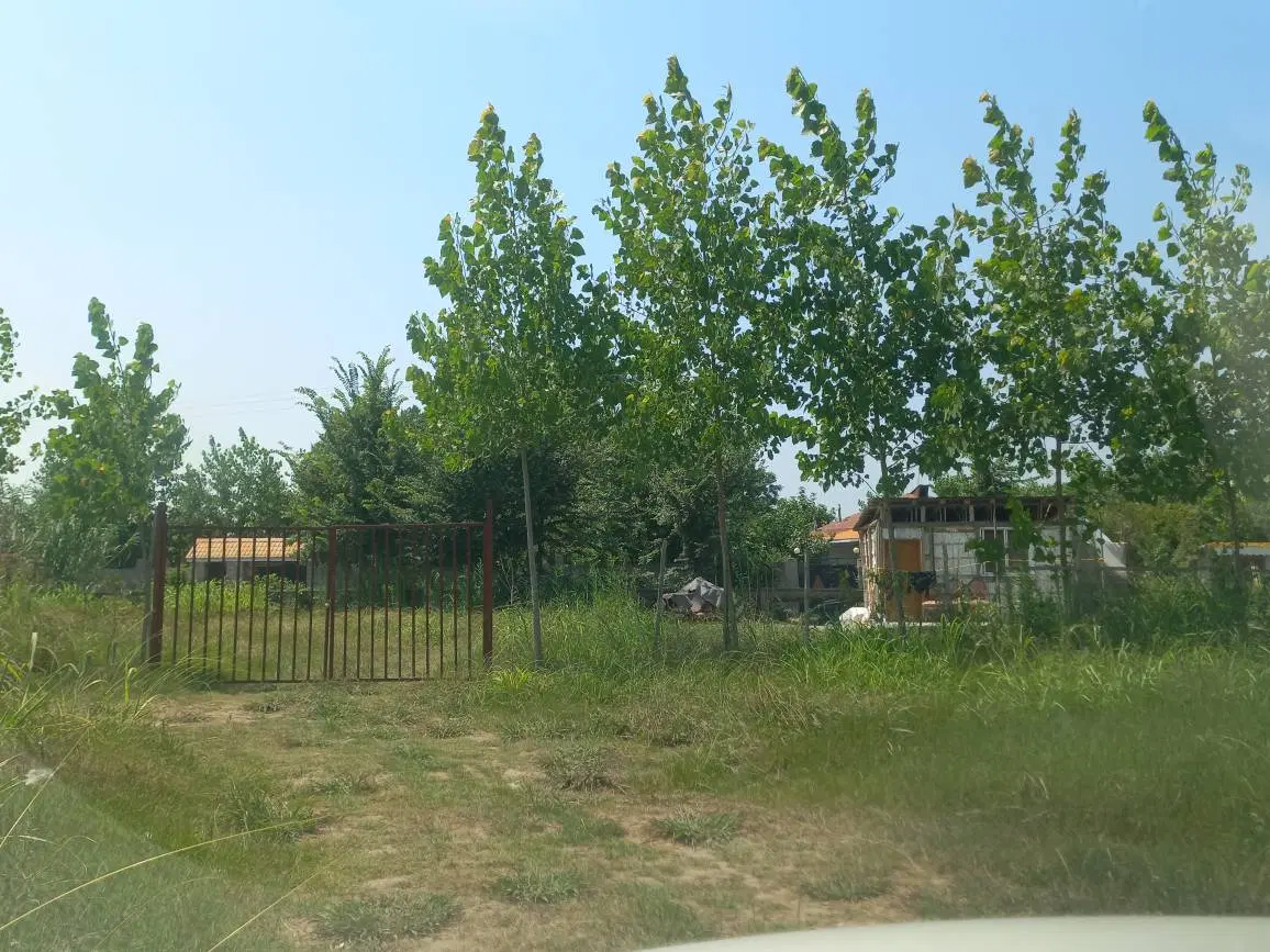 ۳۰۰ متر زمین بر جاده اصلی همراه خانه چوبی کوچک