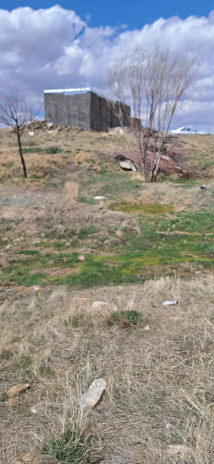 زمین کشاورزی باغ