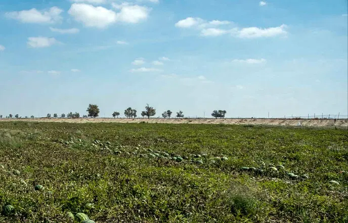 فروش زمین