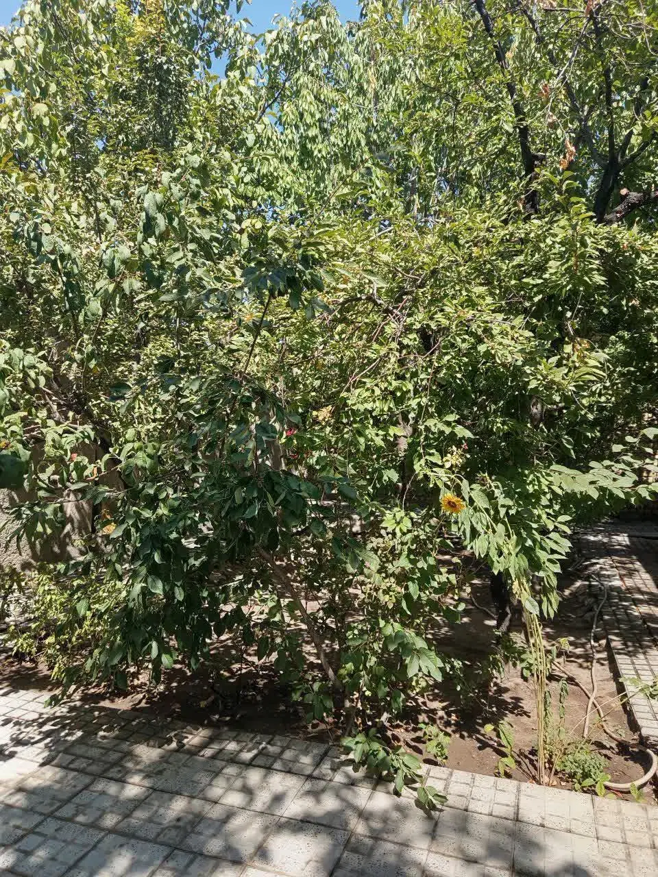 خانه ویلایی مرکز شهر زیاران (تهران ،ابیک،زیاران)