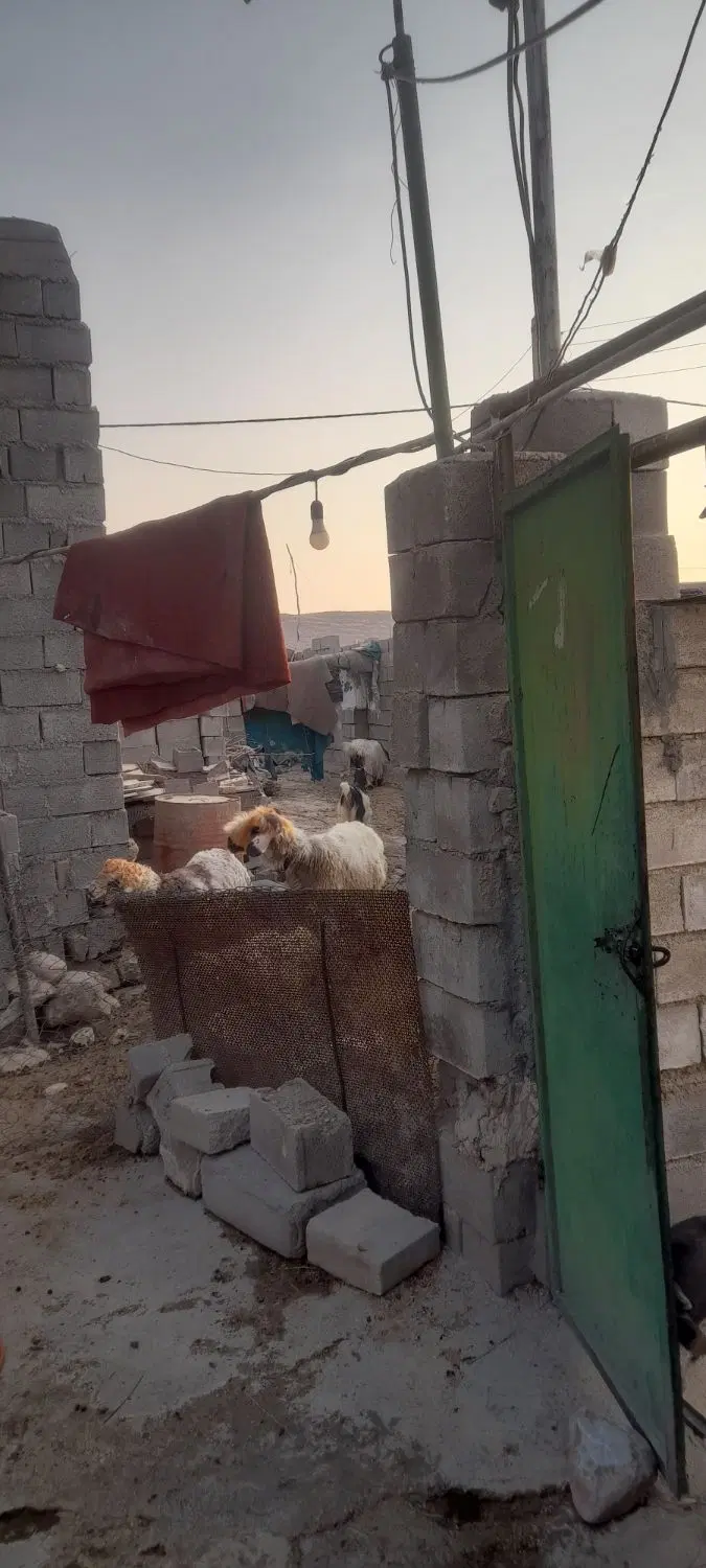 خونه فروشی روستای نوترگی آبله اعلیاقلعه سرخه