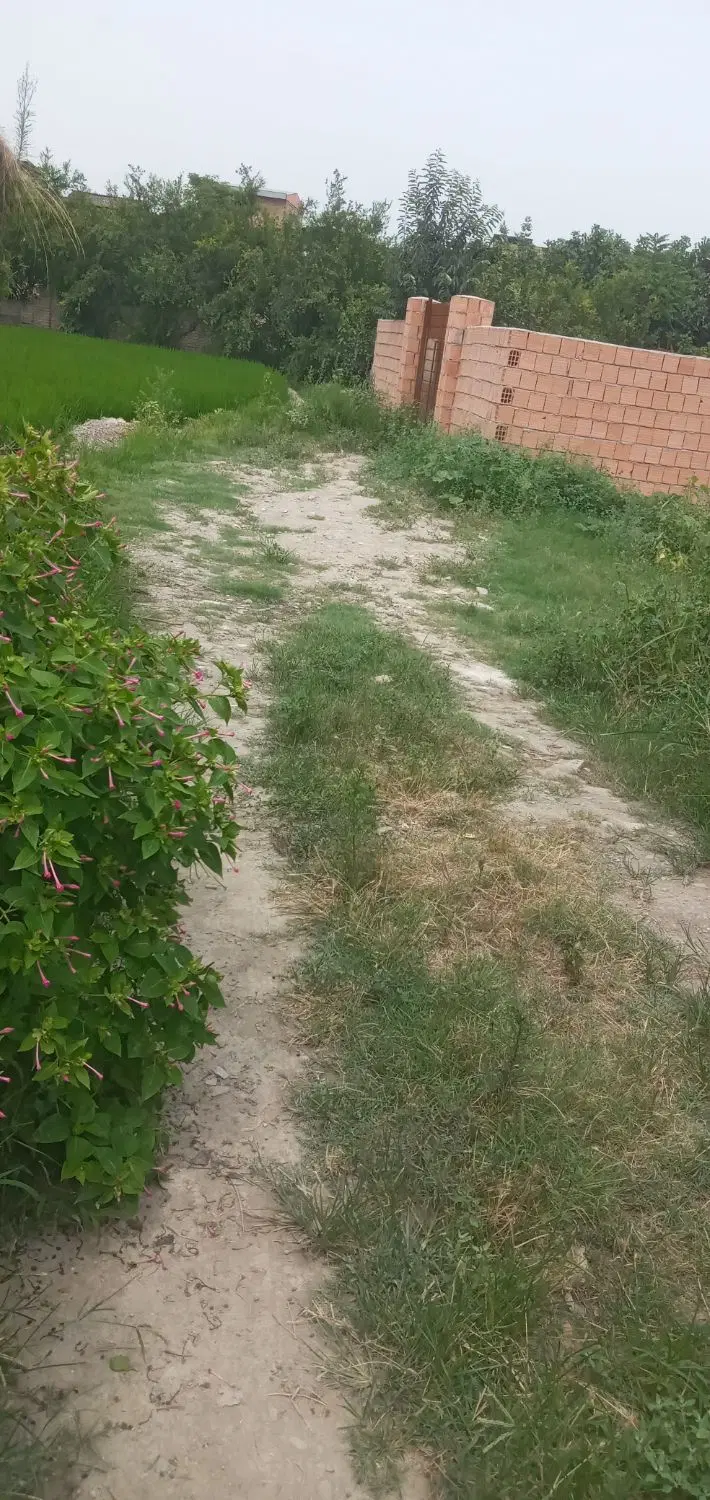 زمین سند دار داخل بافت