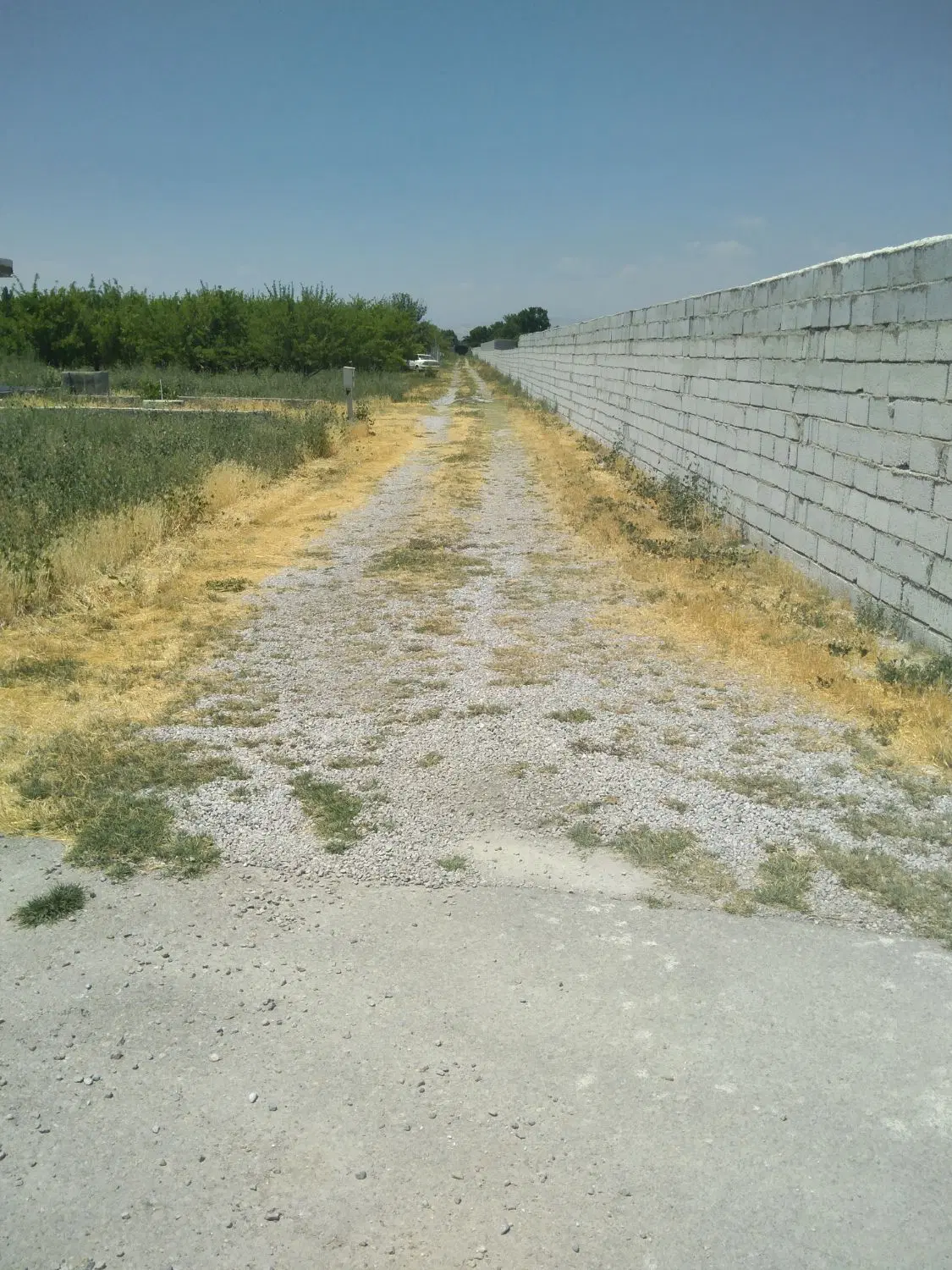 باغچه اردوشاهی کوی الهیه