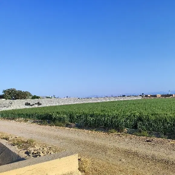 ۸۵۰ متر چسبیده به مسکونی