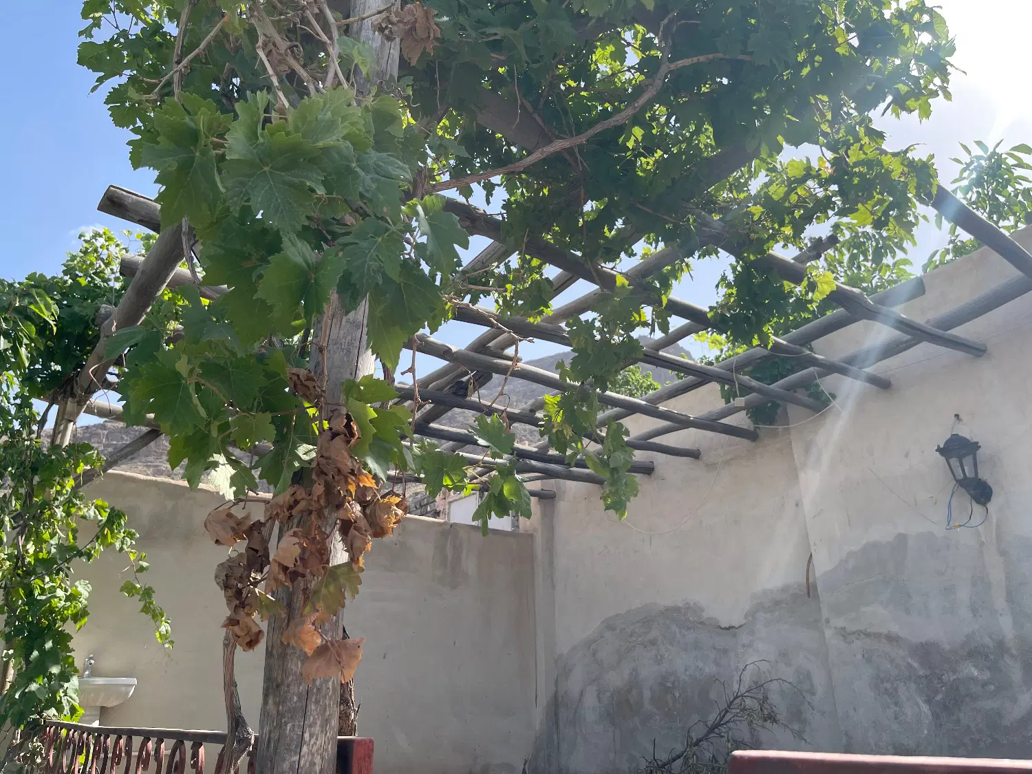 باغچه در روستای خوش آب و هوای فردو