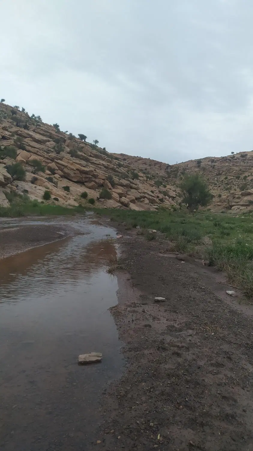 زمین فخرآباد